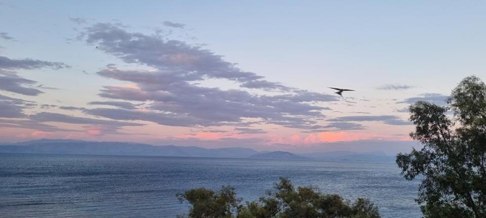 Ionian Mare Aparthotel Agios Ioannis Peristerion Exterior photo